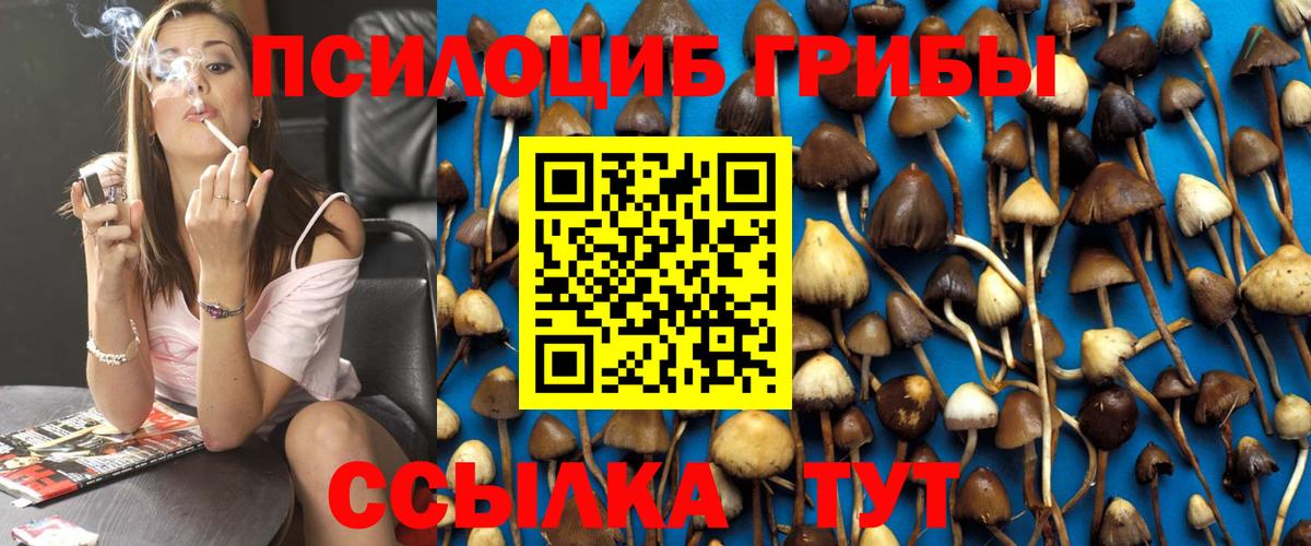 Псилоцибиновые грибы Psilocybine cubensis  Вход с VPN  Норильск 