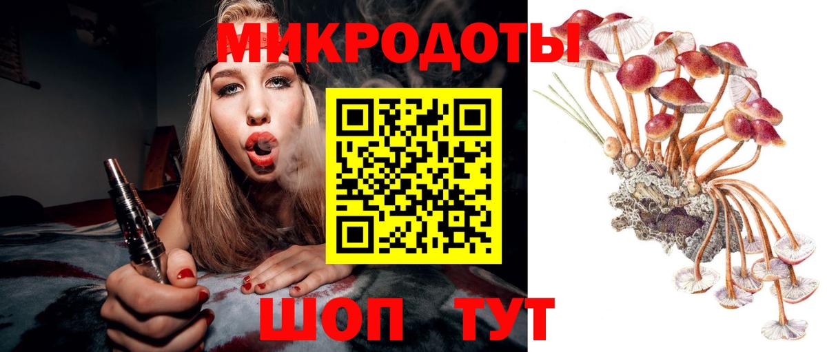 Псилоцибиновые грибы Psilocybine cubensis Норильск